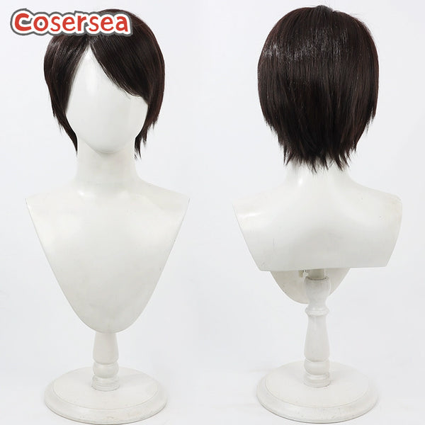 Kamen Rider Hiiro Kagami 30cm Short Dark Brown Cosplay Wigs