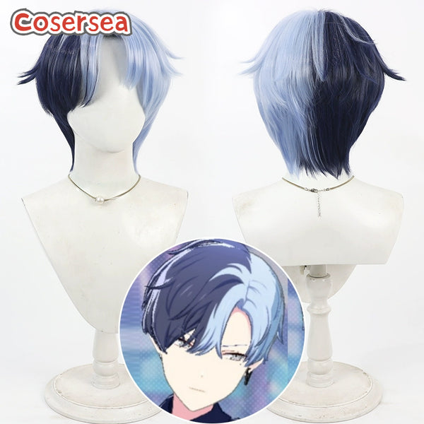 Project Sekai: Colorful Stage feat. Aoyagi Toya Cosplay Wigs